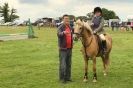 Image 230 in THE  STRUMPSHAW  PARK  RIDING  CLUB  OPEN  15 JULY 2012