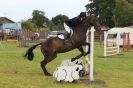 Image 44 in THE  STRUMPSHAW  PARK  RIDING  CLUB  OPEN  15 JULY 2012