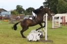 Image 44 in THE STRUMPSHAW PARK RIDING CLUB OPEN 15 JULY 2012