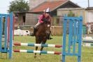 Image 58 in THE  STRUMPSHAW  PARK  RIDING  CLUB  OPEN  15 JULY 2012