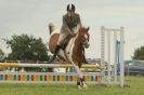 Image 8 in THE STRUMPSHAW PARK RIDING CLUB OPEN 15 JULY 2012