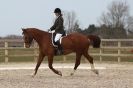 Image 102 in DRESSAGE. ICENI  SPORT  HORSES  AT  MARTHAM