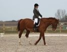 Image 103 in DRESSAGE. ICENI  SPORT  HORSES  AT  MARTHAM