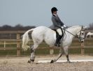 Image 104 in DRESSAGE. ICENI  SPORT  HORSES  AT  MARTHAM