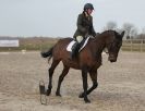 Image 107 in DRESSAGE. ICENI  SPORT  HORSES  AT  MARTHAM