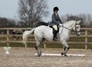 Image 111 in DRESSAGE. ICENI  SPORT  HORSES  AT  MARTHAM