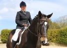 Image 116 in DRESSAGE. ICENI SPORT HORSES AT MARTHAM