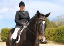 Image 116 in DRESSAGE. ICENI  SPORT  HORSES  AT  MARTHAM