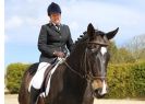 Image 117 in DRESSAGE. ICENI SPORT HORSES AT MARTHAM