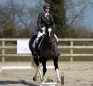 Image 13 in DRESSAGE. ICENI  SPORT  HORSES  AT  MARTHAM