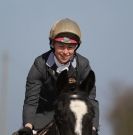 Image 14 in DRESSAGE. ICENI SPORT HORSES AT MARTHAM