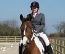 Image 18 in DRESSAGE. ICENI  SPORT  HORSES  AT  MARTHAM