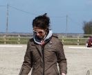 Image 19 in DRESSAGE. ICENI SPORT HORSES AT MARTHAM