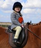 Image 2 in DRESSAGE. ICENI SPORT HORSES AT MARTHAM
