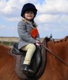 Image 2 in DRESSAGE. ICENI  SPORT  HORSES  AT  MARTHAM