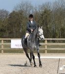 Image 22 in DRESSAGE. ICENI  SPORT  HORSES  AT  MARTHAM