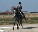 Image 24 in DRESSAGE. ICENI SPORT HORSES AT MARTHAM