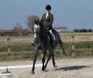 Image 24 in DRESSAGE. ICENI  SPORT  HORSES  AT  MARTHAM