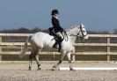 Image 26 in DRESSAGE. ICENI SPORT HORSES AT MARTHAM