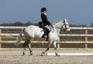 Image 26 in DRESSAGE. ICENI  SPORT  HORSES  AT  MARTHAM