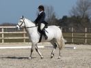 Image 27 in DRESSAGE. ICENI  SPORT  HORSES  AT  MARTHAM