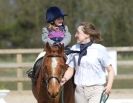 Image 28 in DRESSAGE. ICENI  SPORT  HORSES  AT  MARTHAM