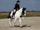 Image 30 in DRESSAGE. ICENI SPORT HORSES AT MARTHAM