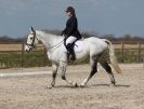 Image 35 in DRESSAGE. ICENI  SPORT  HORSES  AT  MARTHAM