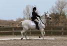 Image 36 in DRESSAGE. ICENI  SPORT  HORSES  AT  MARTHAM