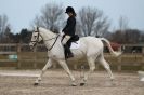 Image 37 in DRESSAGE. ICENI  SPORT  HORSES  AT  MARTHAM