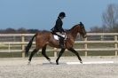 Image 39 in DRESSAGE. ICENI  SPORT  HORSES  AT  MARTHAM