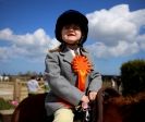 Image 4 in DRESSAGE. ICENI  SPORT  HORSES  AT  MARTHAM