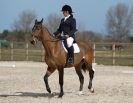 Image 40 in DRESSAGE. ICENI  SPORT  HORSES  AT  MARTHAM