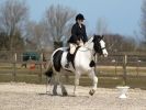 Image 43 in DRESSAGE. ICENI  SPORT  HORSES  AT  MARTHAM