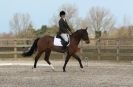 Image 45 in DRESSAGE. ICENI  SPORT  HORSES  AT  MARTHAM