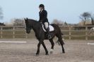 Image 48 in DRESSAGE. ICENI  SPORT  HORSES  AT  MARTHAM