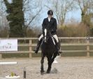 Image 49 in DRESSAGE. ICENI  SPORT  HORSES  AT  MARTHAM