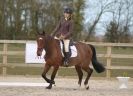 Image 50 in DRESSAGE. ICENI SPORT HORSES AT MARTHAM