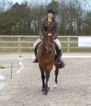 Image 51 in DRESSAGE. ICENI SPORT HORSES AT MARTHAM