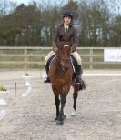 Image 51 in DRESSAGE. ICENI  SPORT  HORSES  AT  MARTHAM