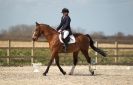 Image 58 in DRESSAGE. ICENI SPORT HORSES AT MARTHAM