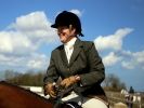 Image 6 in DRESSAGE. ICENI  SPORT  HORSES  AT  MARTHAM