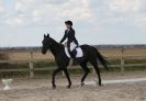 Image 61 in DRESSAGE. ICENI SPORT HORSES AT MARTHAM