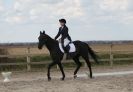 Image 61 in DRESSAGE. ICENI  SPORT  HORSES  AT  MARTHAM