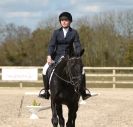 Image 62 in DRESSAGE. ICENI  SPORT  HORSES  AT  MARTHAM