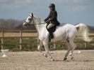 Image 64 in DRESSAGE. ICENI  SPORT  HORSES  AT  MARTHAM