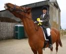 Image 66 in DRESSAGE. ICENI  SPORT  HORSES  AT  MARTHAM