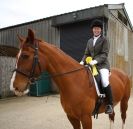 Image 67 in DRESSAGE. ICENI  SPORT  HORSES  AT  MARTHAM