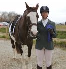 Image 68 in DRESSAGE. ICENI  SPORT  HORSES  AT  MARTHAM