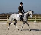 Image 8 in DRESSAGE. ICENI  SPORT  HORSES  AT  MARTHAM